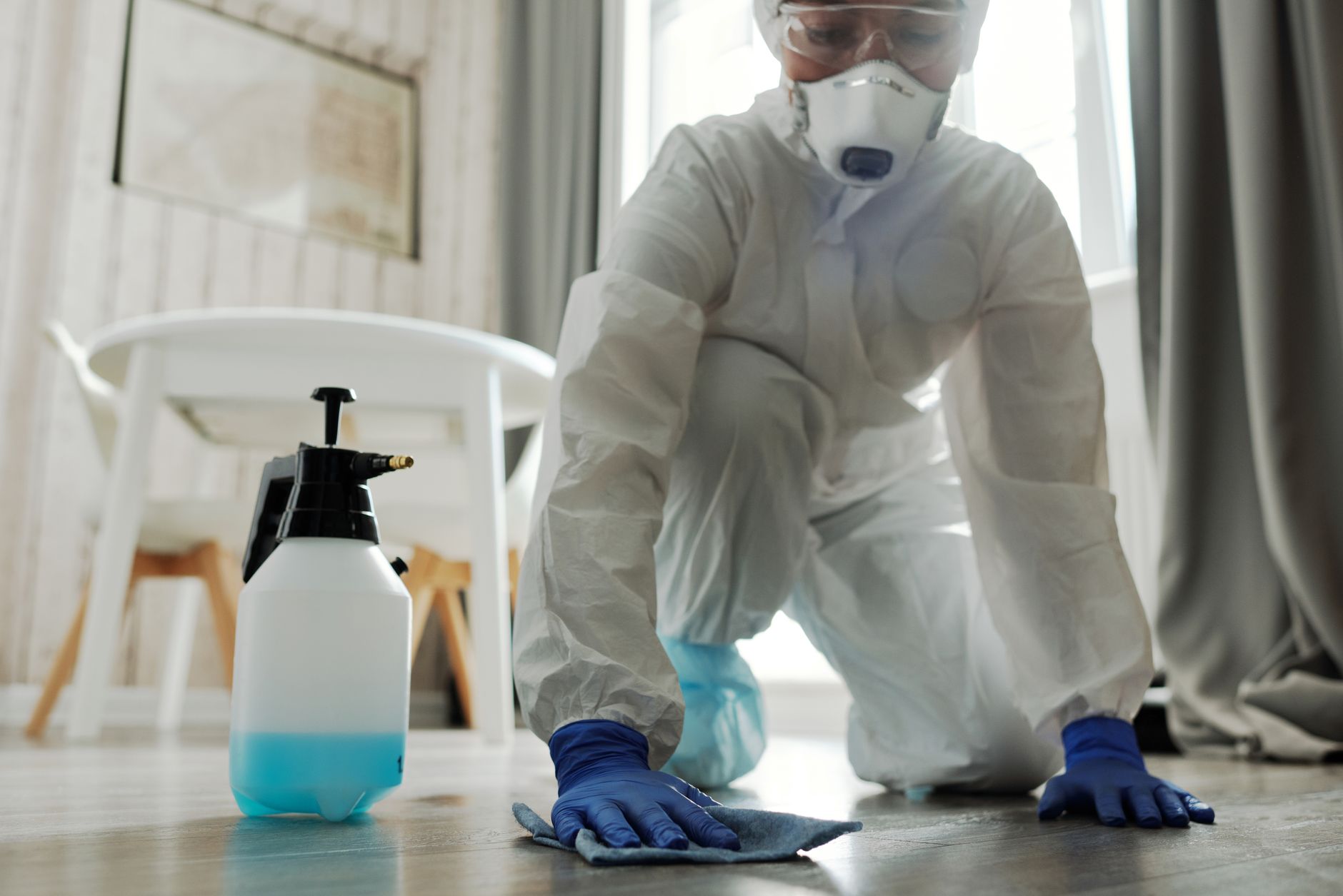 Termite Treatment – Boerne