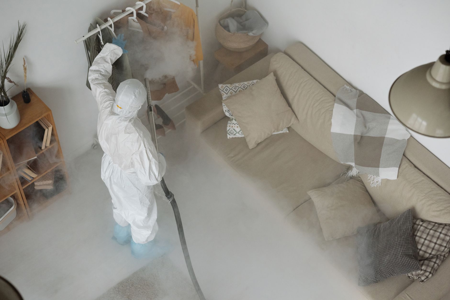 Ant & Roach Treatment – Boerne
