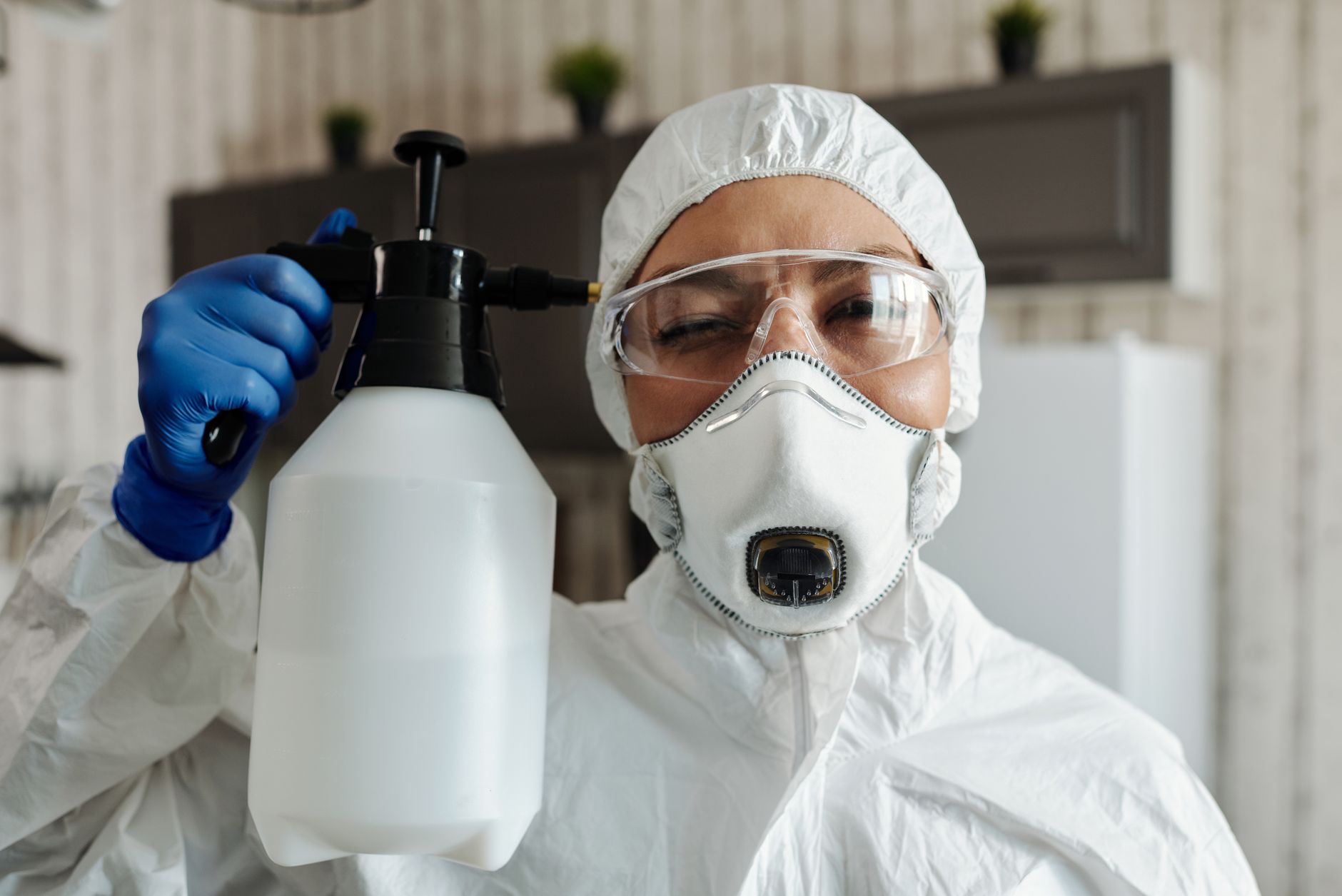 Wasp Nest Removal – Boerne